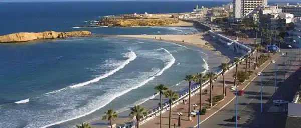 A palm-lined coastal highway and beach in Saudi Arabia.